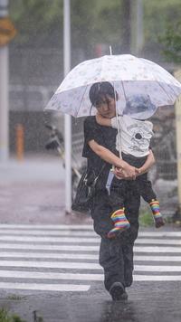 Japan Hit by Tropical Storm Jangmi