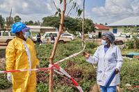 Ebola deaths pass 200 in Congo