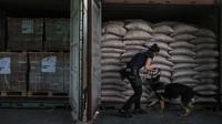 Guatemala Denies US Strike Deal