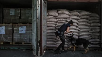 Guatemala Denies US Strike Deal