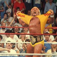 Hulk Hogan's Troubled Final Years