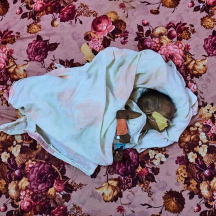 Sudan War Enters Fourth Year