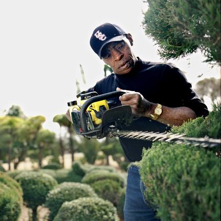 Topiary Artist Pearl Fryar Dies