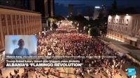 Albania's Flamingo Revolution Fights Kushner Project