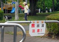 Bear Attacks Prompt Japan School Closures
