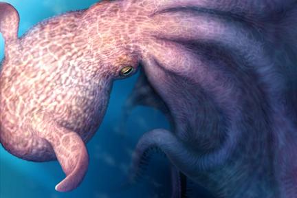 Giant Ancient Octopus Discovered