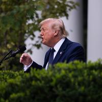 Trump Seeks Birthright Citizenship Rehearing