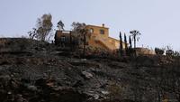 Spain Wildfire Kills 12