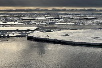 Antarctic sea ice at record low