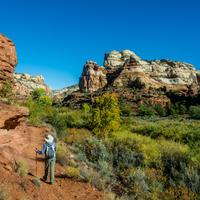 Trump Slashes Size of Utah National Monuments