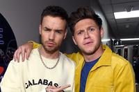 Niall Horan Mourns Liam Payne
