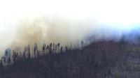 New Mexico medical plane crash