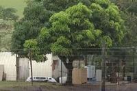 Seven family members killed in KZN