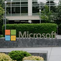 Microsoft offers voluntary buyouts