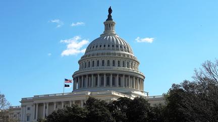 Dems Push to Oust Trump